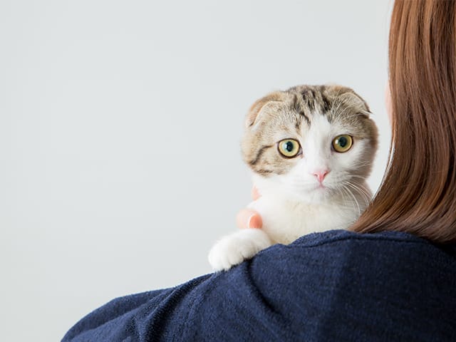 抱えられる猫